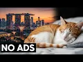 Download Lagu Stress Relief for Cats in Singapore 🐾 Relaxing Music \u0026 Sounds for Comfort \u0026 Sleep 🇸🇬 #cat #relax