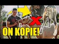 Download Lagu SERNIK PRÓBOWAŁ GO KOPNĄĆ?! 😈