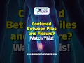 Confused Between Piles Fissure Know the Difference in 60 Seconds