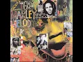 Look Who's Dancing - Ziggy Marley And The Melody Makers