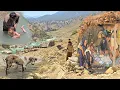 Download Lagu Dariush’s Journey to the Tropics: Finding the Cow Reuniting Arad, and Visiting Family