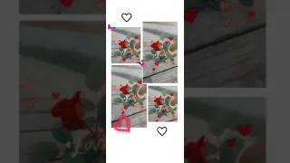 دا أحلى يوم يا أحمد 