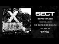 Download Lagu SECT - Born // Razed (officiële audio)
