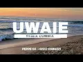 UWAIE (REMIX) - MAX CARRA - Peppe DJ FT @GiulianoCobuzzi 