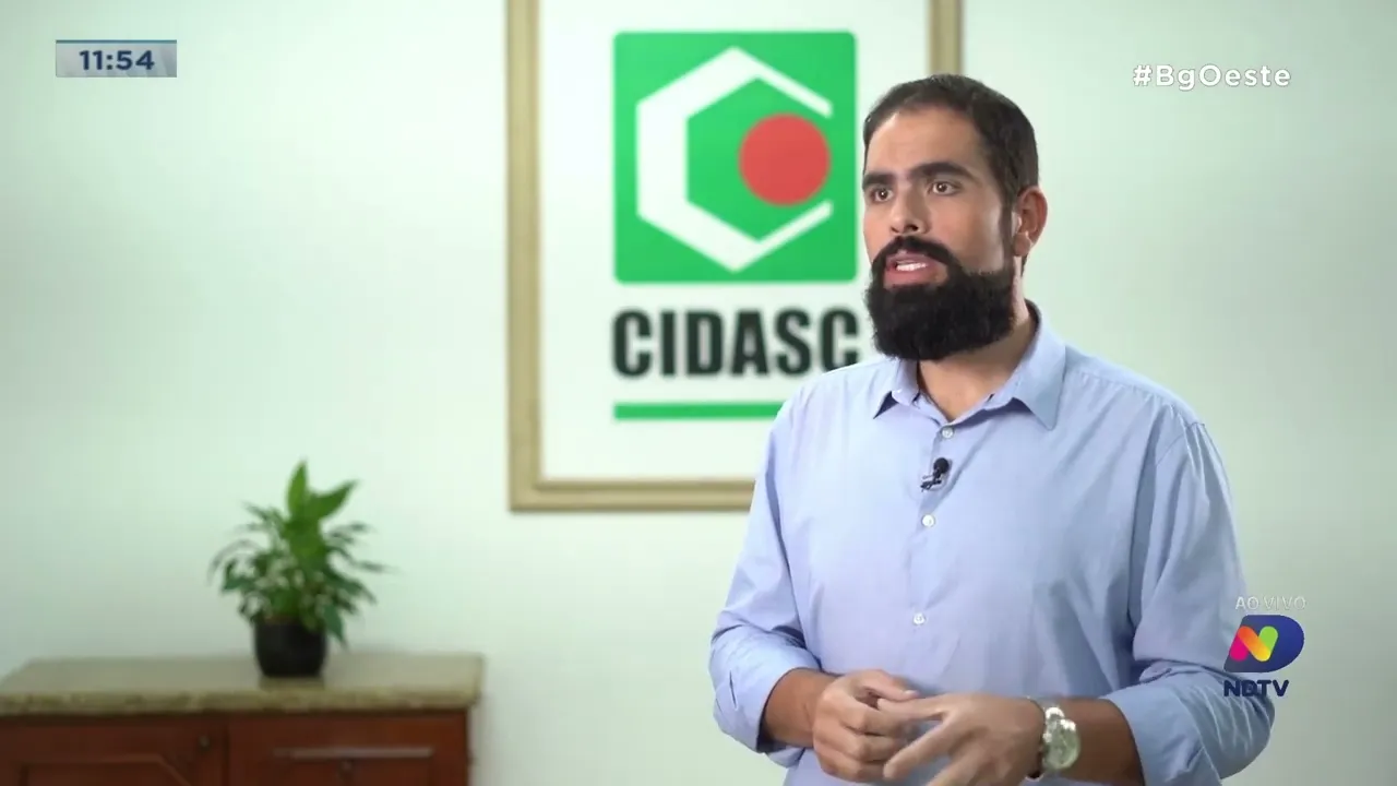 Caso de gripe aviária registrado em ave silvestre não compromete condição sanitária de SC