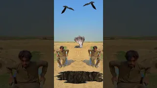 مؤثرات بصرية حركة كوميدية مضحك فيديو قصير 