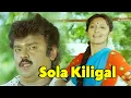 Download Lagu Sola Kiligal | சோலா கிளிகள் | Koyil Kaalai (1993) | S. Janaki, Mano