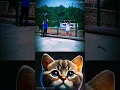 Mr funny 💥 #cat #eviloogway #mrboombastic #masteroogway #funny