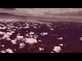 Dawn - The Cinematic Orchestra