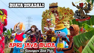 Download APRI JAYA MUDA(AJM) - BUAYA DIKADALI || SHOW DS GUNUNGSARI BLOK PULE MP3