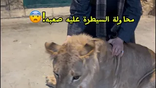                                                                                      دندنها