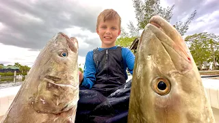 The Craziest Fishing I ve Filmed yet Cobia Moonfish and Snapper Catch Clean Cook
