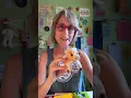 That Vegan Teacher is live
