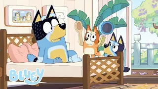 Compilacao de episodios completos Bluey Portugues Brasil Canal