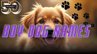 50 Best Boy Dog Names Unique Cute Popular Male Puppy Names