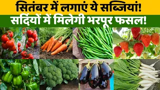 सितंबर में कौन सी सब्जी लगाएं? सितंबर में लगाने वाली बेस्ट सब्जियां | September Month Vegetables