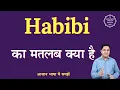 Habibi meaning in Hindi Habibi ka matlab kya hota hai English to hindi