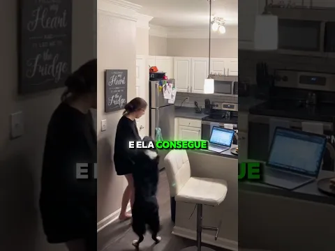 Ela salvou a sua dona!