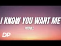 Download Lagu Pitbull - I Know You Want Me (Calle Ocho) (Lyrics)