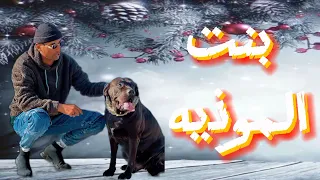 مهرجان بنت الموذية   انا شارب فركة عفية     عمر اي دي و المنشئ     توزيع            انتاج فارس روسيا سمعها