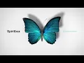 Spiritbox - Constance (Acoustic)