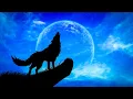 Download Lagu Worldwide Howl at the Moon Night | Wolves Howling at the Moon