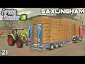 Download Lagu THE MOST STRAW BALES I'VE EVER HAD ON THIS TRAILER Saxlingham FS25 Ep 21