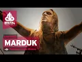 Download Lagu Brutal Assault 26 - Marduk (live) 2023