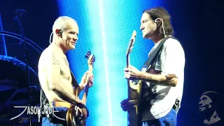 Download Red Hot Chili Peppers - Otherside [HD] LIVE San Antonio 5/17/2023 MP3