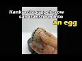 Epic Kankuro s Black Ant Puppet Build - Naruto Fan Art Toy Transformation