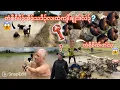 Download Lagu 14/7/25⁉️😱How Ti Klaw Di catch alive shrimp 🦐 and crab in the lake but his eyes can’t see 😱❓❓