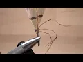 Knotting Pheasant Tail Legs
