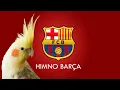 Download Lagu Barcelona FC Himno Silbado - Educa Tu Ninfa