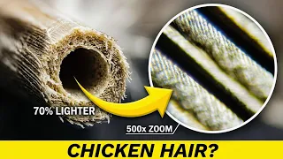 Free-Range Chickens Have Unusual Feathers Hollow Bones Wavy Hair and Dust Stick to Them WHY