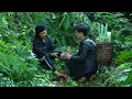 Download Lagu Warm humanity: Grandmother's sudden Injury and the story of a kind young man