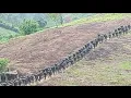 Download Lagu SITUATION SÉCURITAIRE AU NORD\u0026SUD-KIVU, 🚨TRUMP DONALD PROPOSE UN DANGER POUR CONGO À DOHA
