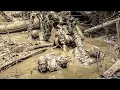Foreign Legion How to Survive in the Hostile Amazon Rainforest Full Documentary