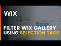 Display Database Content Filter WIX Gallery Using Selection Tags 2021 Tutorial Wix Ideas