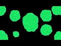 Reaction Diffusion with various parameters openframeworks