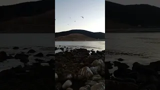 من داخل جزيرة كلايريس الحسيمة      دندنها