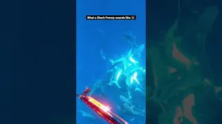 This is what a Shark Frenzy sounds like 😳