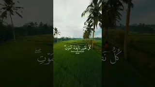 يا عبادي الذين امنوا ان ارضي واسعة القارئ عبد الرحمن مسعد 