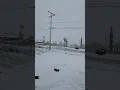 Hesperia 2023 SNOW