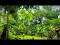 FULL ALBUM FOR REVENGE (37 Lagu Terbaik) | Playlist Lengkap Tanpa Iklan | Bikin Baper Sepanjang Hari