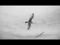 Waltz No. 1 - Sabr Alptekin