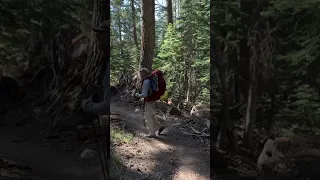 Say, “No” to Crack!