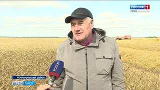 Уборочная компания в регионе затягивается из-за дождей