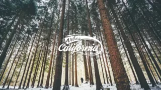 Charlie Cunningham Minimum Niklas Ibach Remix 