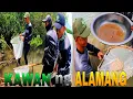 Download Lagu EP514:PART1-SA PANGUNGUHA NAMIN NG ALAMANG MAY KAKAIBANG SHELL KAMING NATAGPUAN