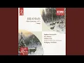Lagu Piano Concerto No. 1 in D Minor, Op. 15: I. Maestoso